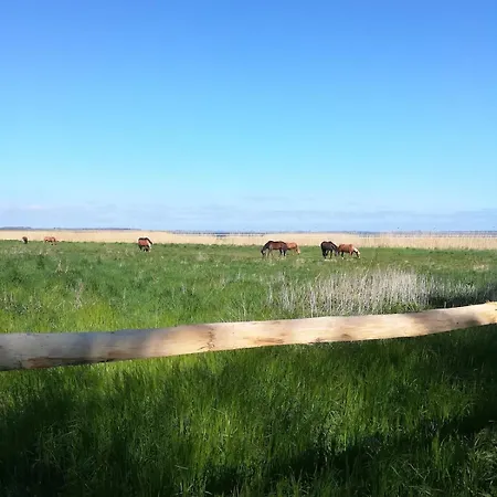 Cozy In The Vinetastadt *