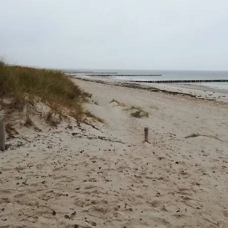 Cozy In The Vinetastadt